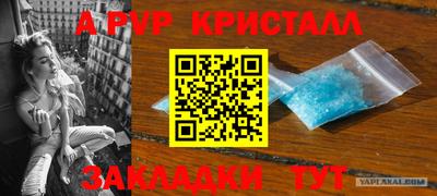 крисы Краснодар