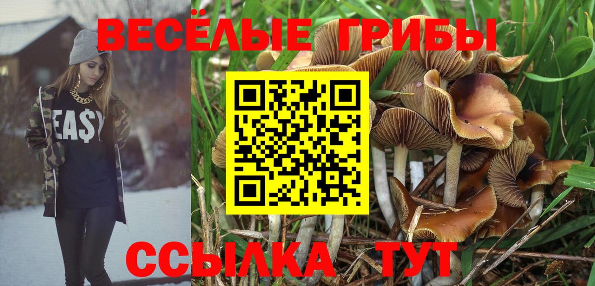 Галлюциногенные грибы ЛСД  Вход с VPN  Зеленокумск 